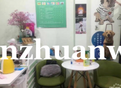 成功转出广阳区中房创展大厦停车场东行圣宠宠物店