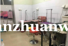 成功转出广阳区中房创展大厦停车场东行圣宠宠物店