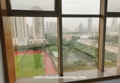 国际文化大厦低层公寓房 带福田小学学位