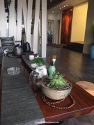 天元区饭店转让包括9新全店所有设备，高档电器，全实木高档餐桌