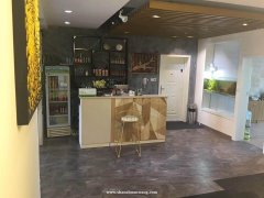 亏本转让河西黄金位置私房菜会所饭店茶餐吧也可做高端教育培训美