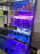 四季青临街旺铺低价转租