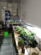 四季青临街旺铺低价转租