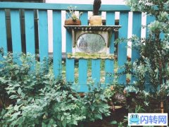 转让网红店-南山壹华里公园-陌上花与茶