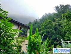 转让网红店-南山壹华里公园-陌上花与茶