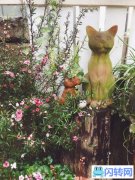 转让网红店-南山壹华里公园-陌上花与茶