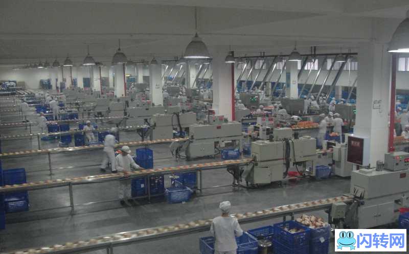 湖州香飘飘奶茶厂招工