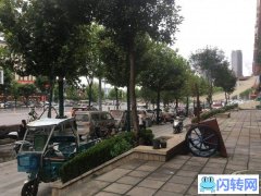 出租新洲区阳逻开发区保利圆梦城三区社区底商