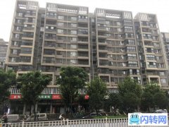 出租新洲区阳逻开发区保利圆梦城三区社区底商