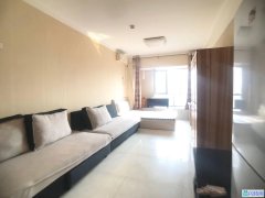 祥泰汇东国际地铁好房便宜出租