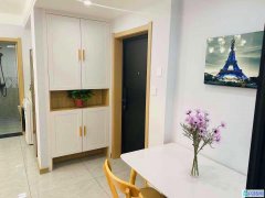 出售皇姑塔湾全新装修两室经典南北户型