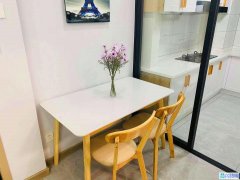 出售皇姑塔湾全新装修两室经典南北户型