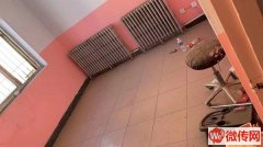 成功出租桃城商贸城服装街临街门店二层