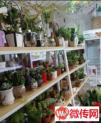 成功转出定州崇文街花店