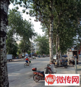 成功转出莲池区政府南院玉兰大街543号老味道削面坊