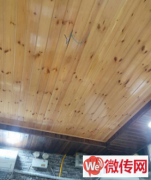 成功转出保定市莲池区泰和福地水岸底商水果店