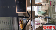 成功转出定竞秀万和蓝山小区东门口精装修宠物会馆