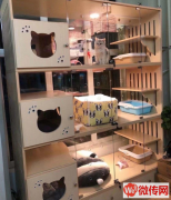 成功转出定竞秀万和蓝山小区东门口精装修宠物会馆