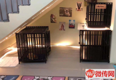 成功转出定竞秀万和蓝山小区东门口精装修宠物会馆