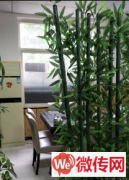 成功转出莲池区莲池南大街188号金街饺子