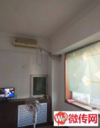 成功转出竞秀区天鹅西路世兴街世家花园附近餐饮店