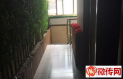 成功转出莲池区红旗大街普庆路交口餐饮店