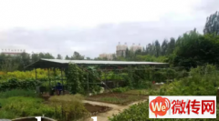 成功转出莲池区恒祥北大街金夜农庄烤全羊