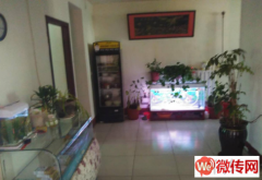 成功转出莲池区裕华路气象局对面天源足道