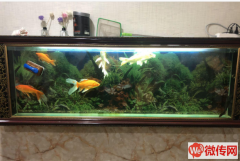 成功转出徐水区水岸华庭盈利中饭店