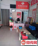 成功转出衡水桃城区新桥北大街胜景茂园北门彩票店