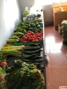 成功转出衡水桃城区香榭丽都北区果然鲜生鲜便利店