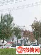 成功转出衡水学院大门口对过和平路好位置商铺