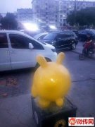 成功转出衡水学院旁边盈利中古邳炒饭