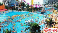 成功转出保定激情大冲关拍摄地水上乐园内水吧