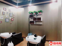 成功转出榕花大街和平东路交口滏兴国际园西门虫二造型