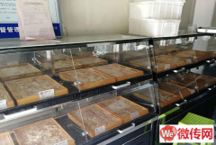 成功转出灵寿正南南大街蛋糕店