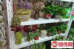 成功转出长安区光华路与建设北大街交叉口附近花店