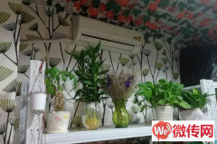 成功转出长安区光华路与建设北大街交叉口附近花店