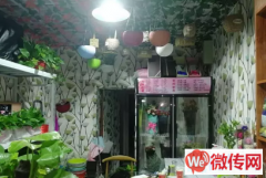 成功转出长安区光华路与建设北大街交叉口附近花店