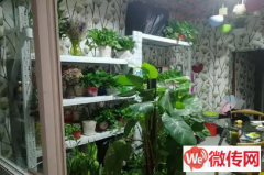 成功转出长安区光华路与建设北大街交叉口附近花店