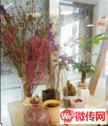 成功转出裕华区河北师范大学东门青野轻食