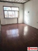 成功转出自强街人民路交口南行200米路东50平商铺