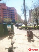 成功转出桃城康宁街和平路交口西北角小双煎饼凉皮