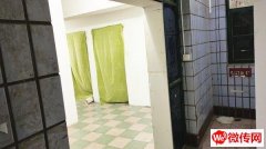 成功转出冀州和平东路兴华南大街交口东南角小猪查理