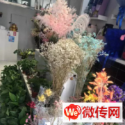 成功转出桥西区尚峰广场新华街口深深爱花艺馆