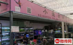 成功转出廊坊市丽都鑫潮花卉市场小渔翁水族