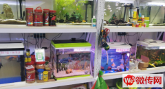 成功转出廊坊市丽都鑫潮花卉市场小渔翁水族