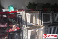 成功转出高新区惠安街滨河公馆宠物店