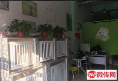 成功转出高新区惠安街滨河公馆宠物店