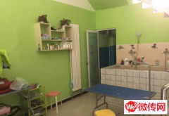 成功转出高新区惠安街滨河公馆宠物店